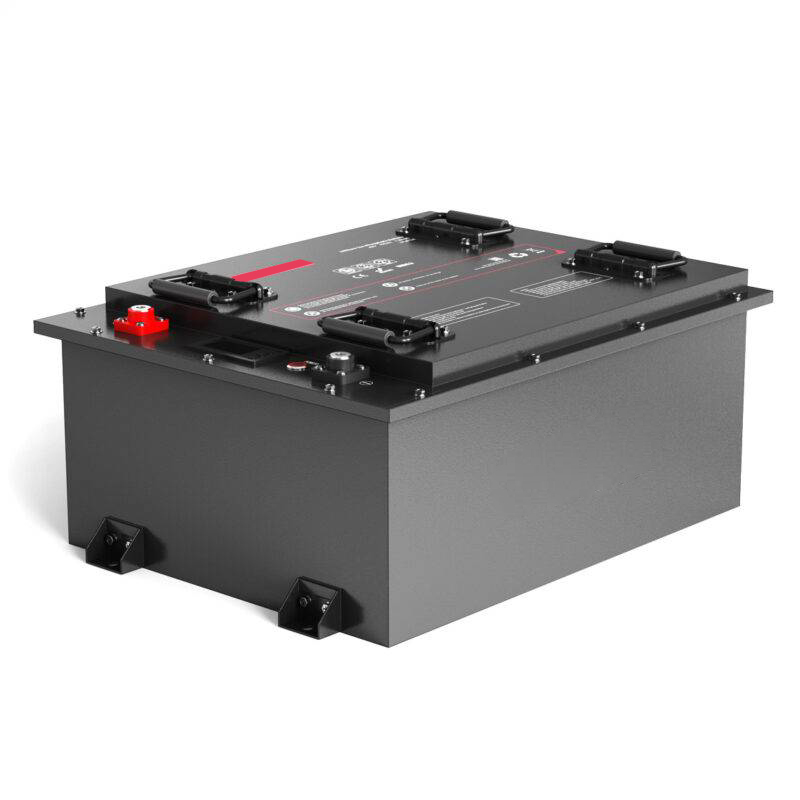48V 150Ah LiFePO4 Golf Cart Battery (S48150P)